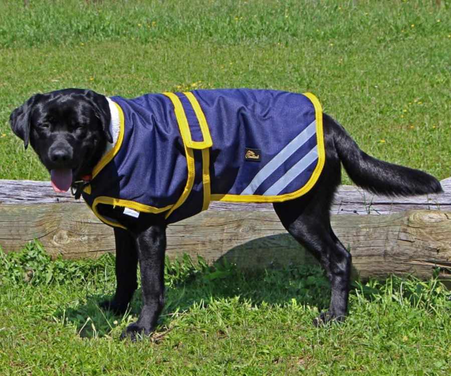 Cavallino Northampton Dog Coat image 0